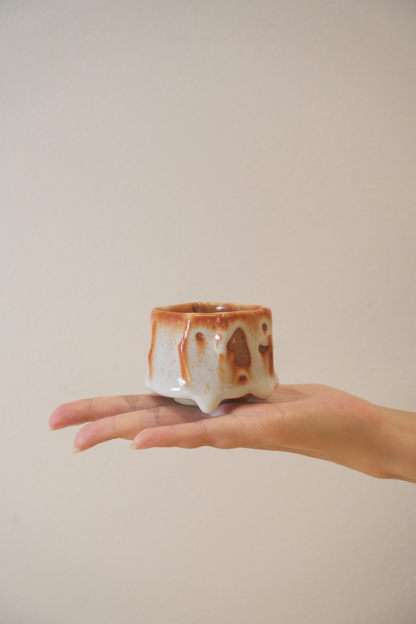 Handcrafted Tea Cup | 70mL | Fall | Shino Tea Cup