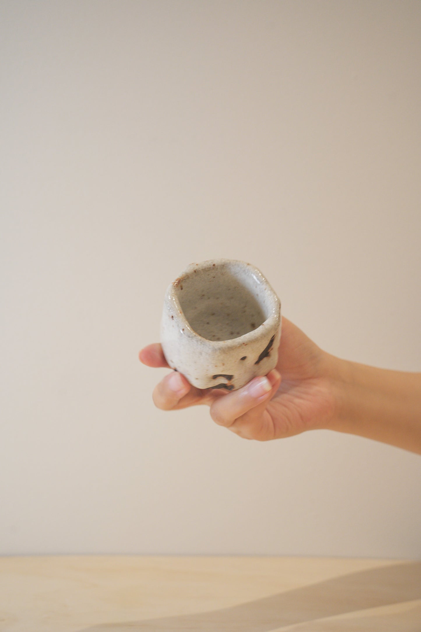 Handcrafted Tea Cup | 80mL | Snowfield | Shino Tea Cup