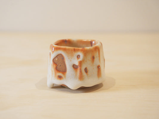Handcrafted Tea Cup | 70mL | Fall | Shino Tea Cup
