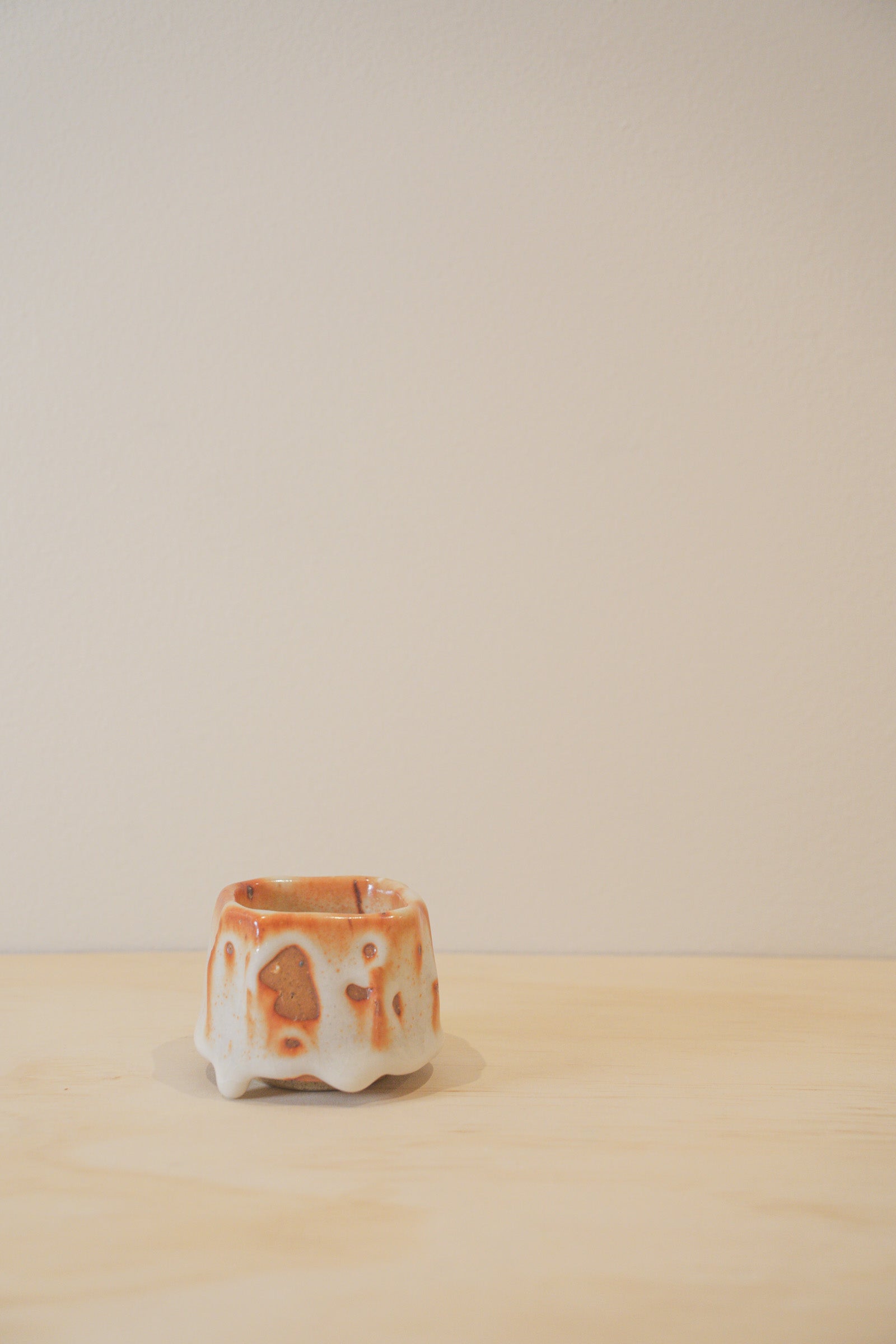 Handcrafted Tea Cup | 70mL | Fall | Shino Tea Cup