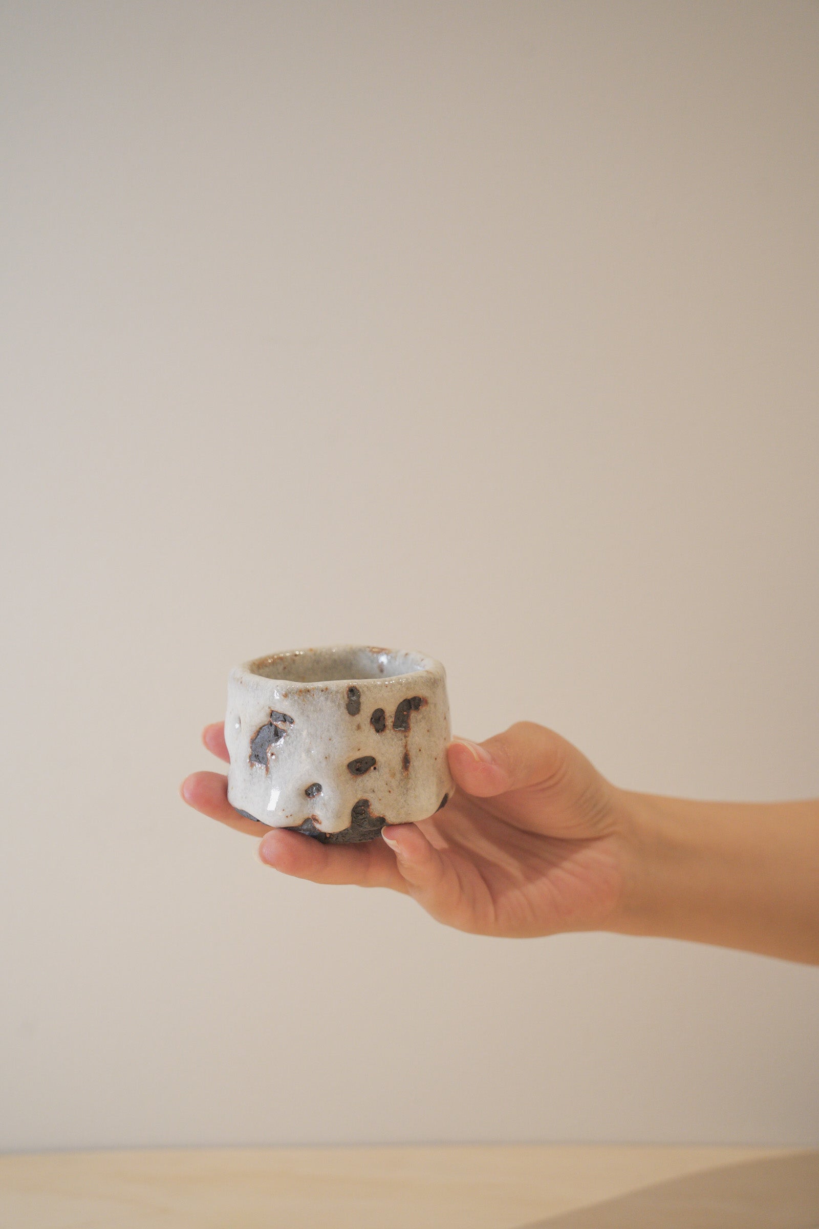 Handcrafted Tea Cup | 80mL | Snowfield | Shino Tea Cup