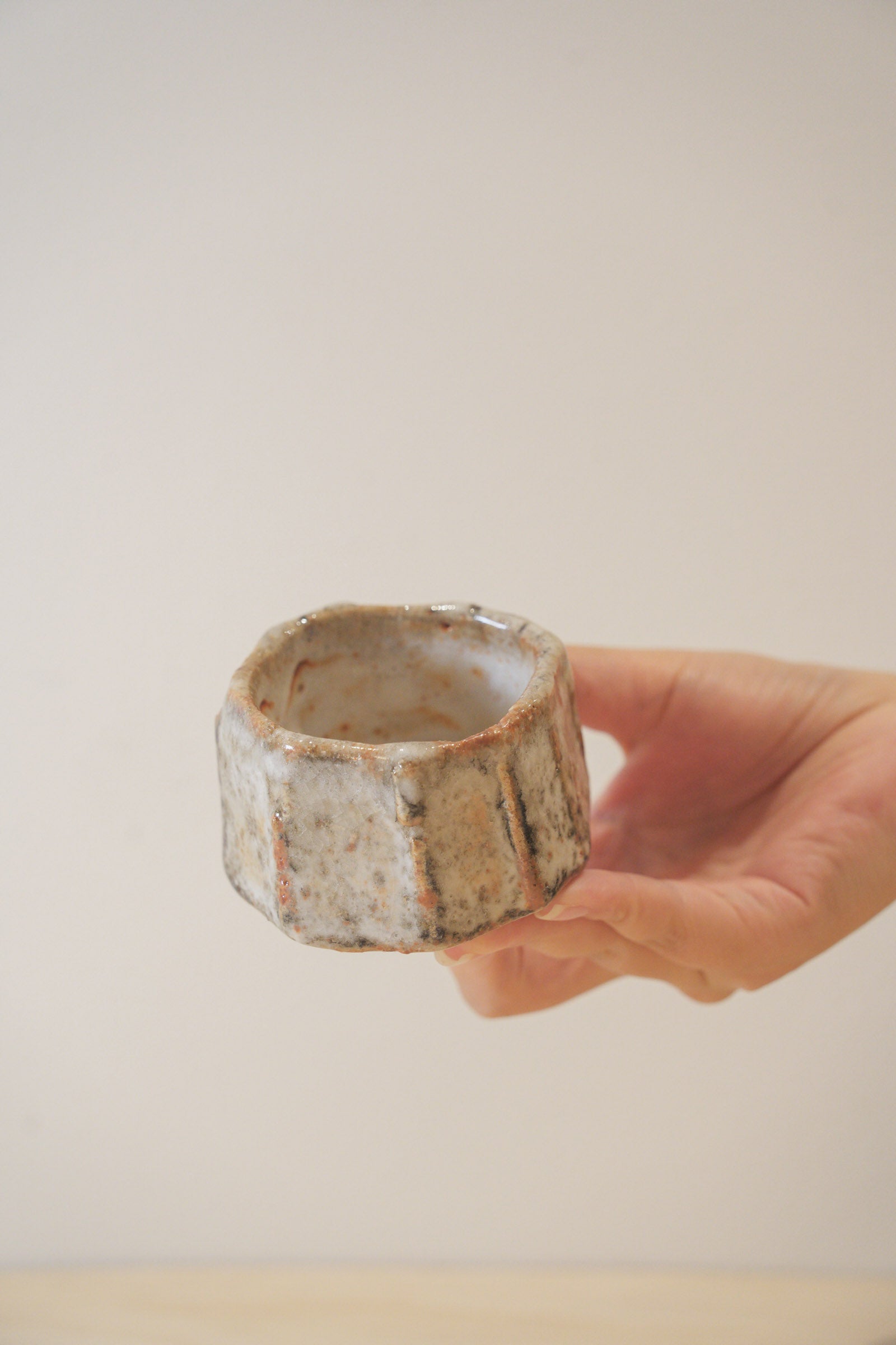 Handcrafted Tea Cup | 90mL | Ancient Rock | Shino Tea Cup